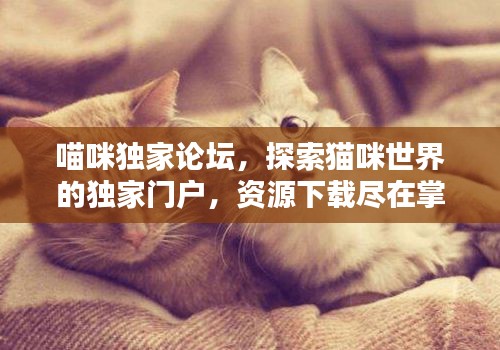 关于我们 第6页