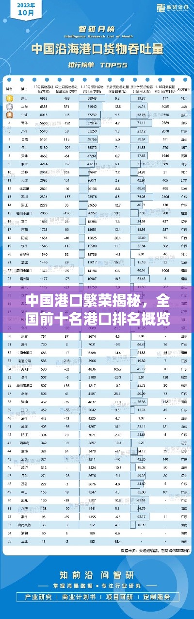 怀真抱素