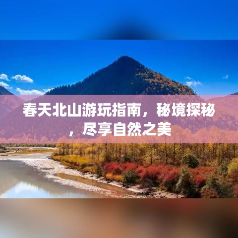 一丝不苟