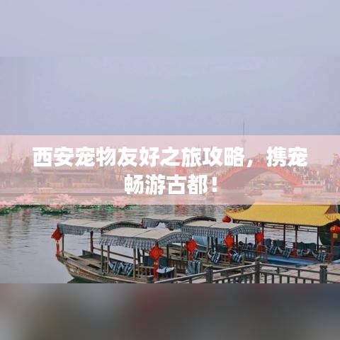 驾轻就熟